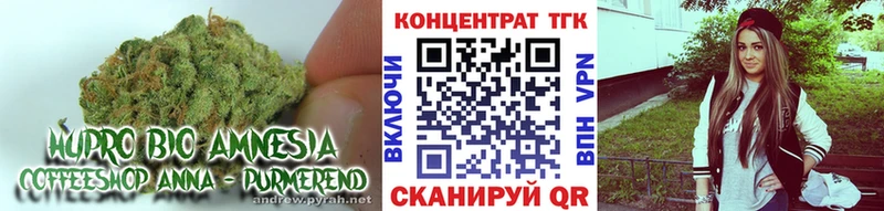 где купить наркоту  Новозыбков  ТГК Wax 