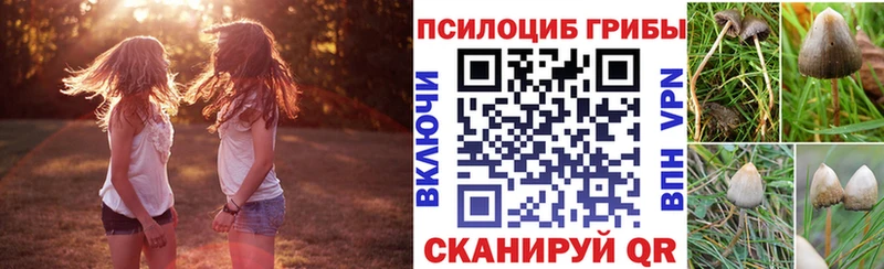 Галлюциногенные грибы прущие грибы  kraken зеркало  Новозыбков 